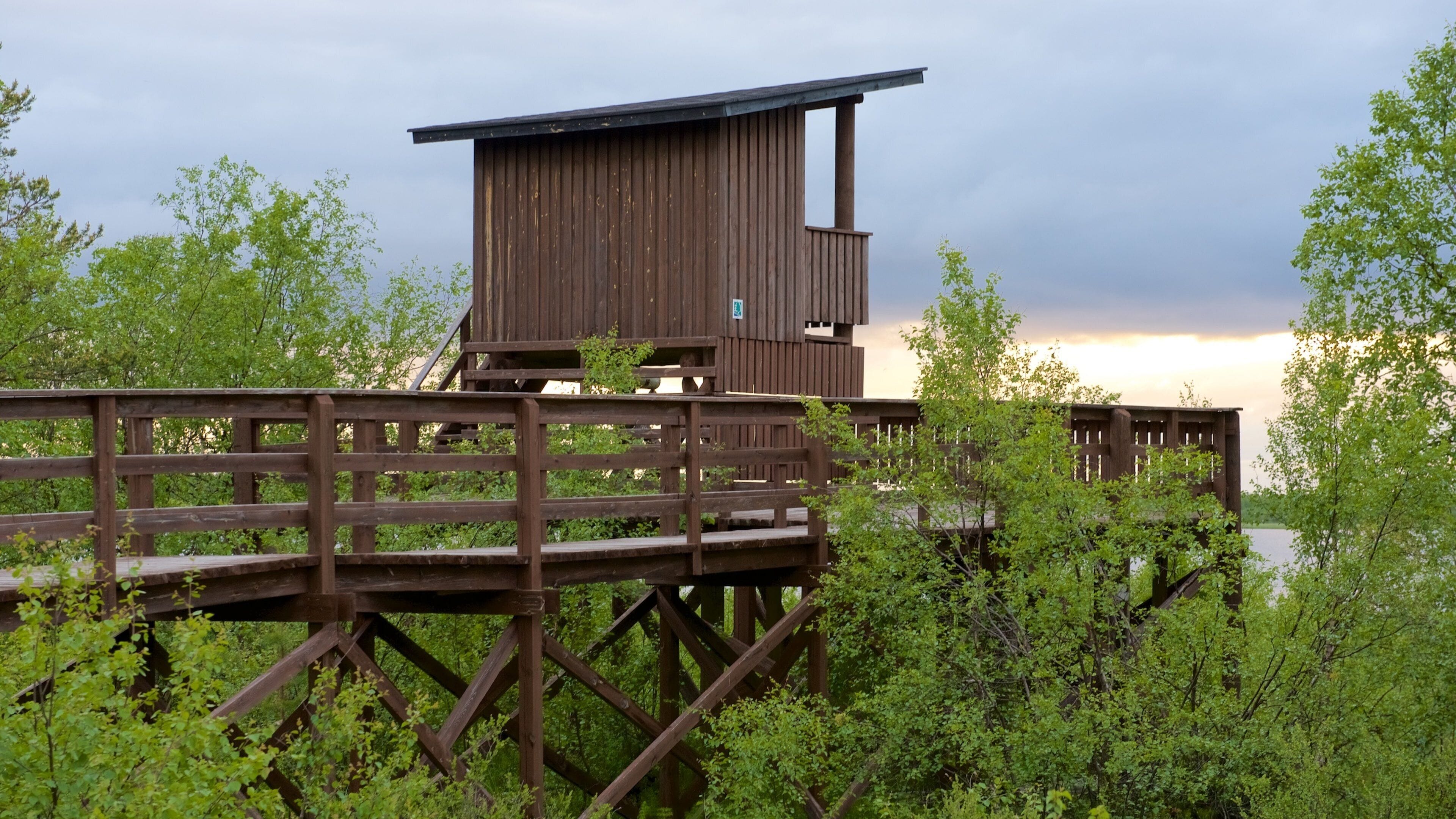 Sotkajarven Bird-Watching Tower which includes views and tranquil scenes