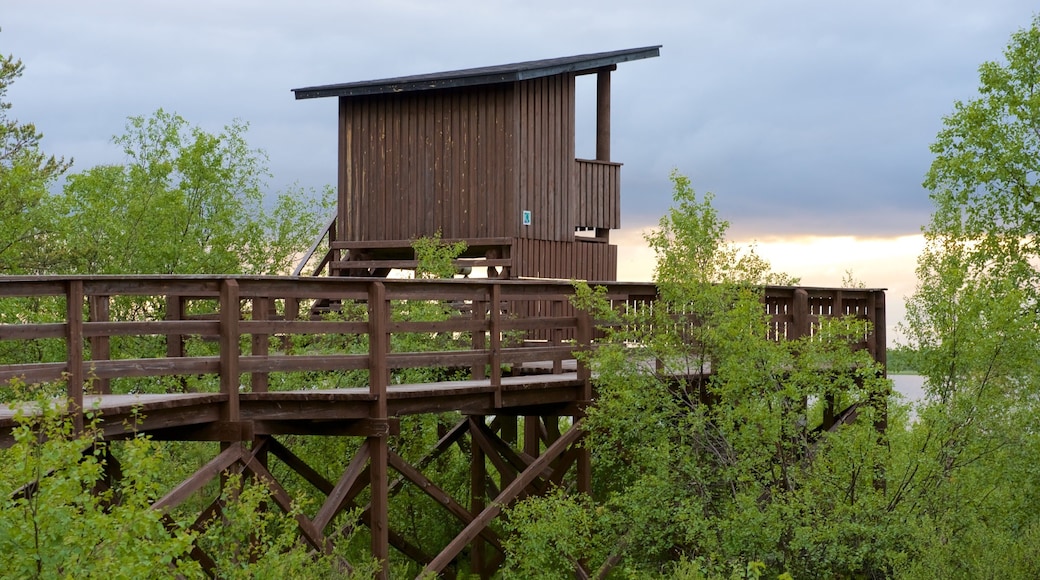 Sotkajarven Bird-Watching Tower which includes views and tranquil scenes