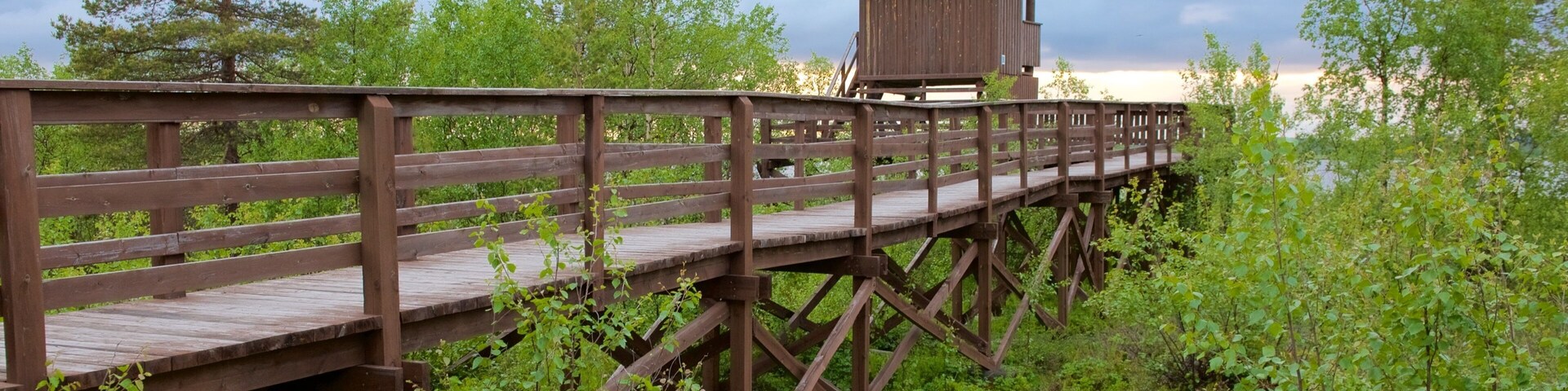 Torre de Observação de Pássaros de Sonkajärvi caracterizando cenas tranquilas, paisagens e pântano