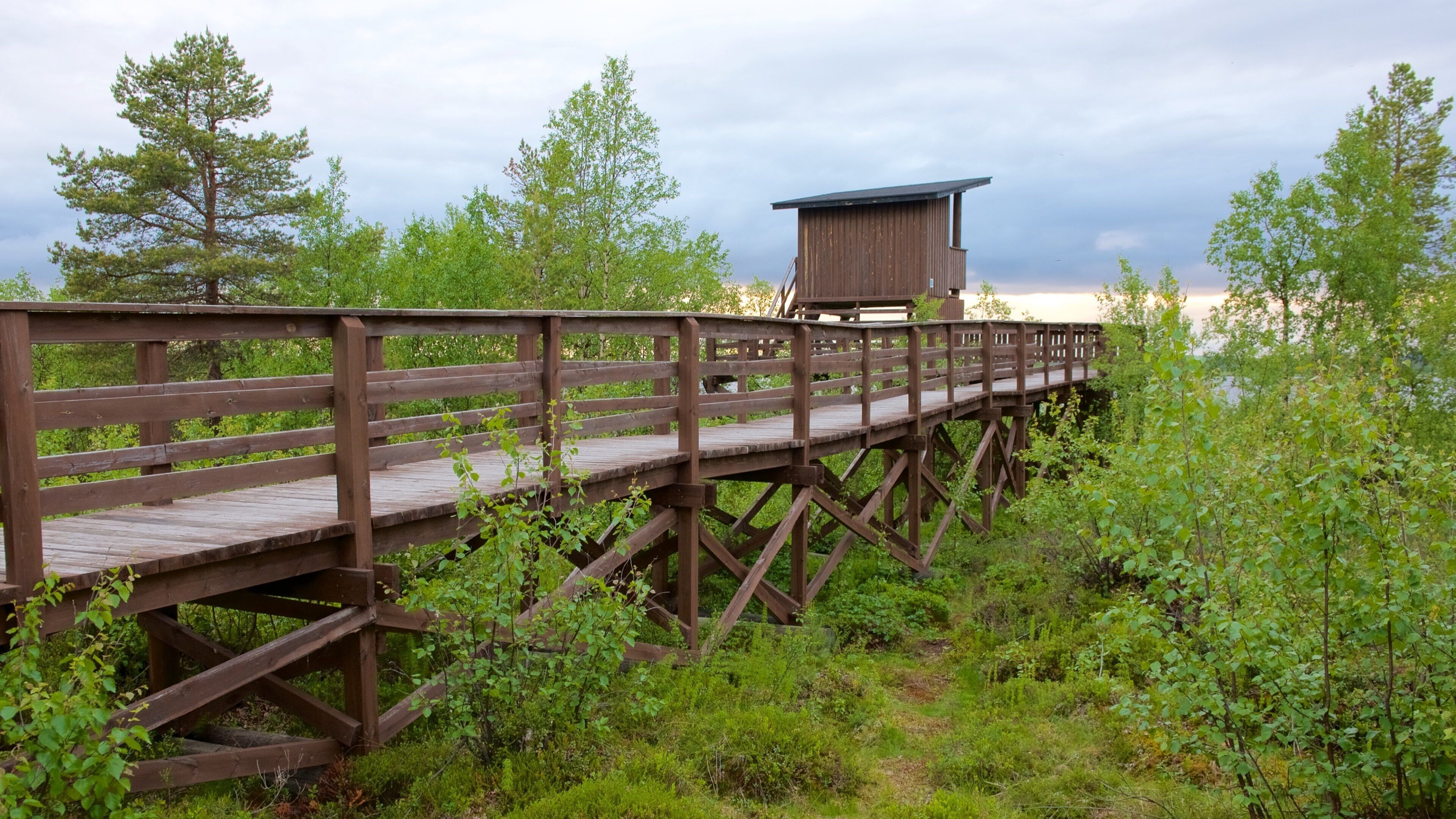 A wooden boardwalk leading to a cabin in a forested area.