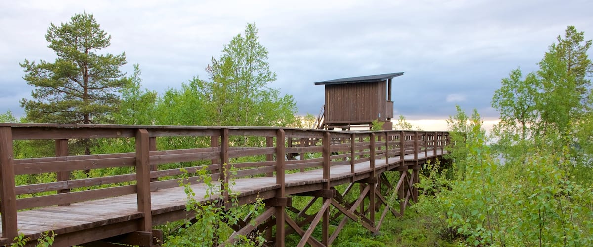 A wooden boardwalk leading to a cabin in a forested area.