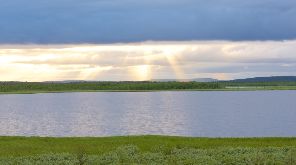 Sotkajarven Bird-Watching Tower showing a river or creek, landscape views and tranquil scenes
