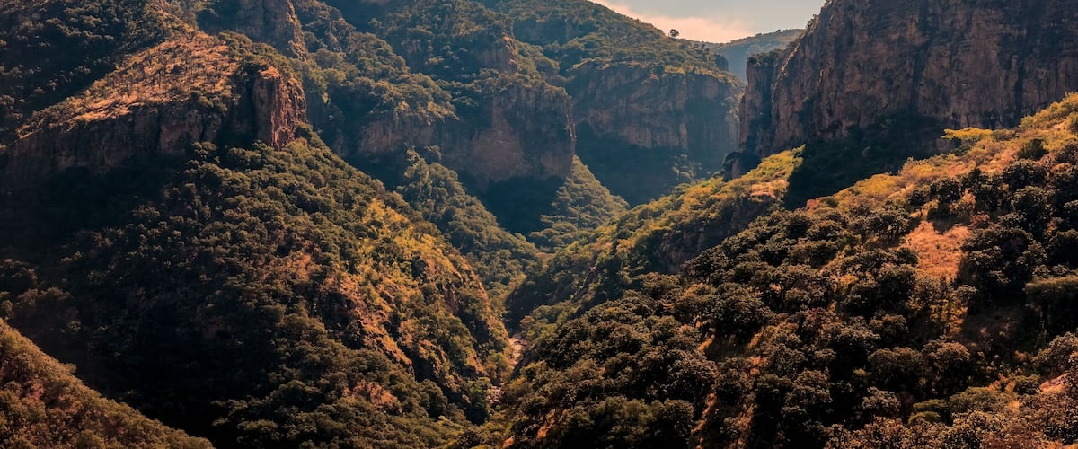 A canyon with steep cliffs and dense vegetation.