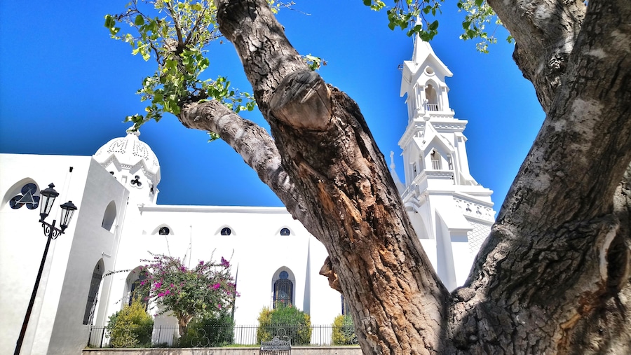 A white church with a bell tower and a large tree in the foreground.