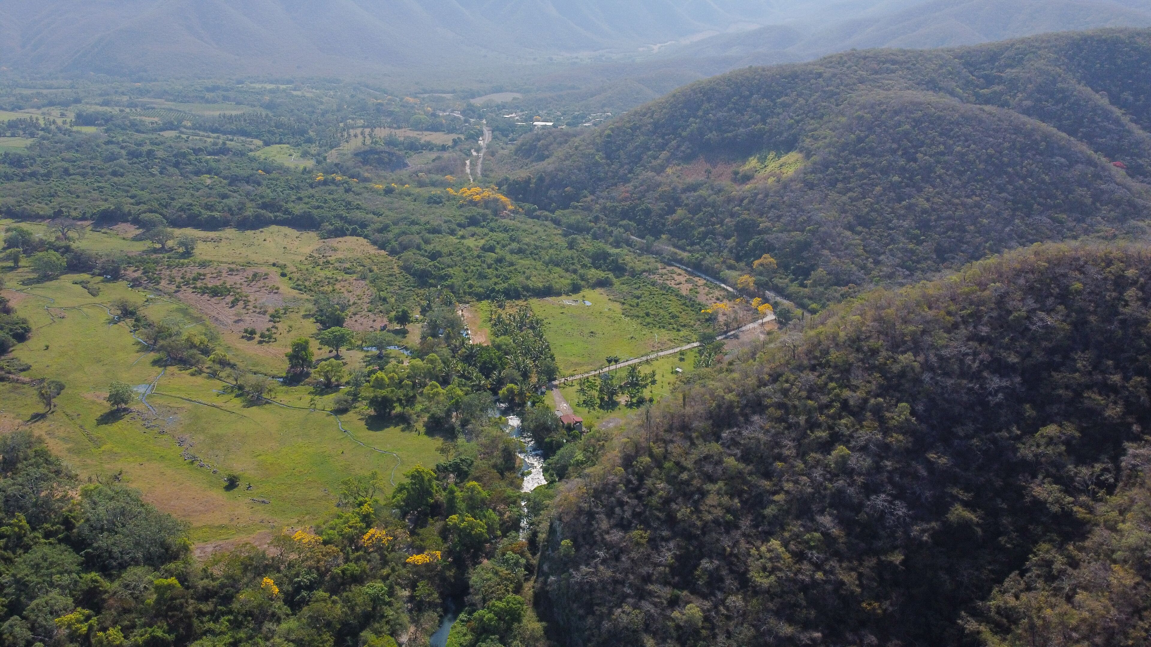 A valley with a river, green fields, and forested hills.