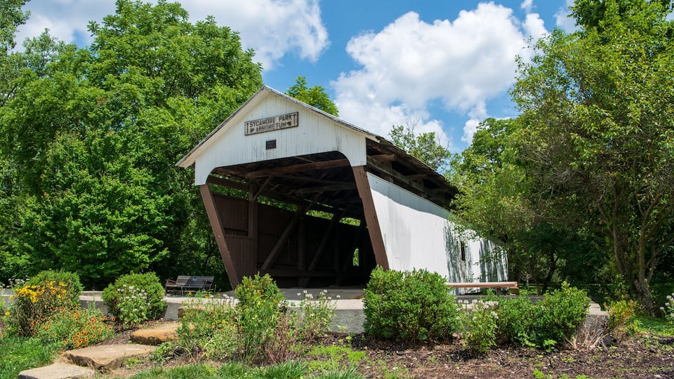 A covered pavilion with a sign reading "Sycamore Park" and "Arbor Tree Fun."