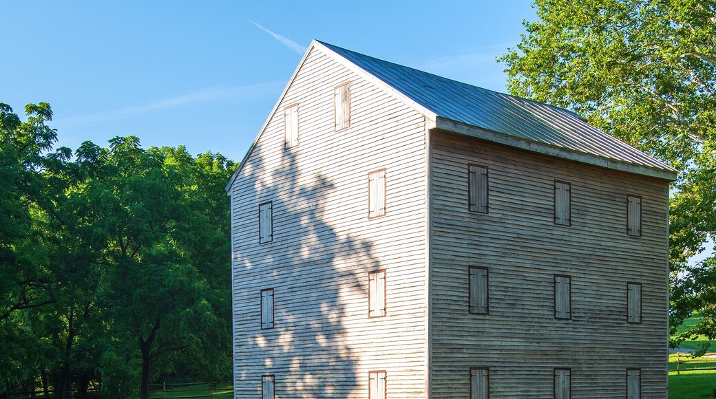 A wooden watermill with a wooden staircase leading up to it, surrounded by lush greenery and trees.