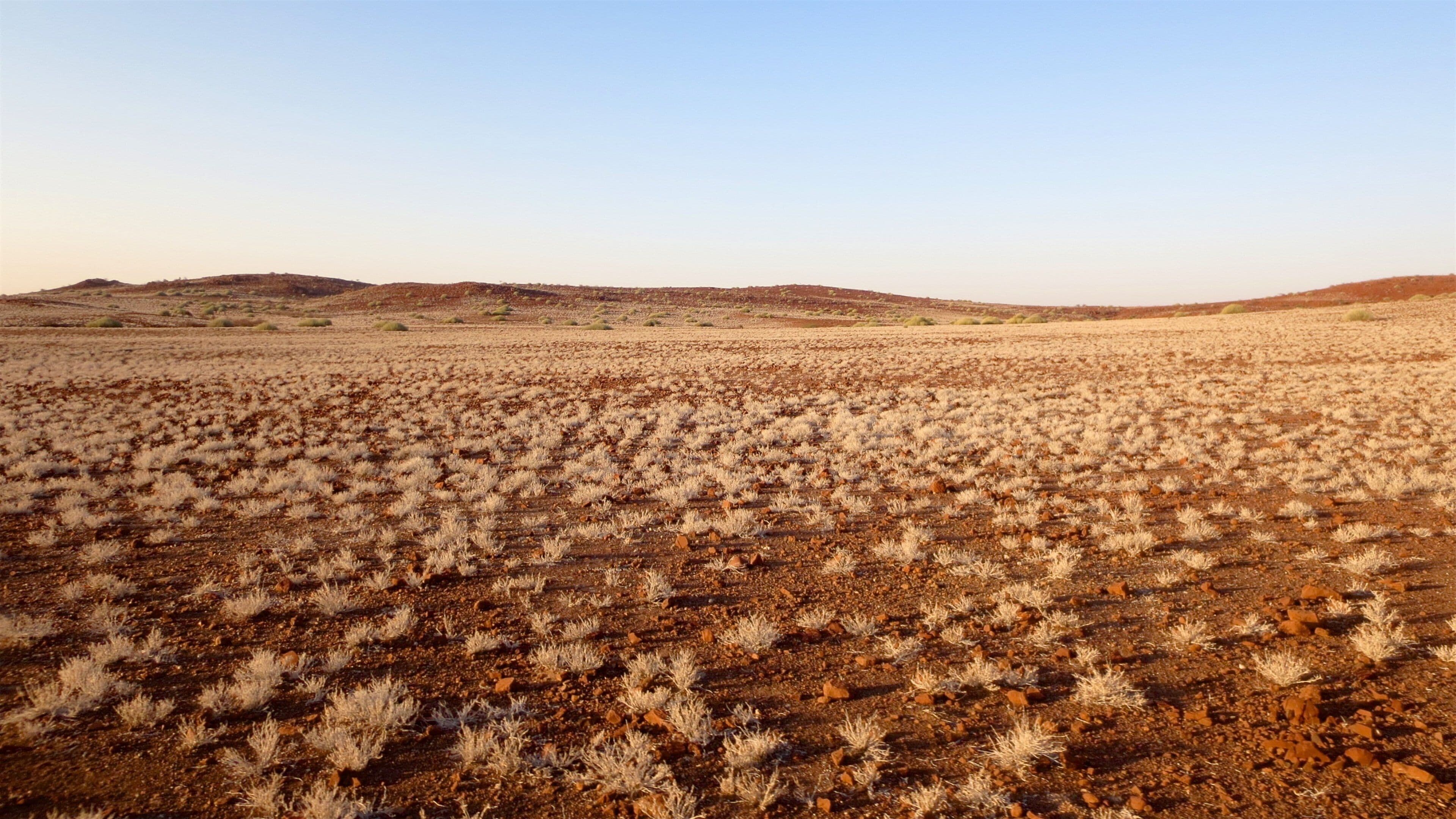 Palmwag showing desert views, tranquil scenes and landscape views