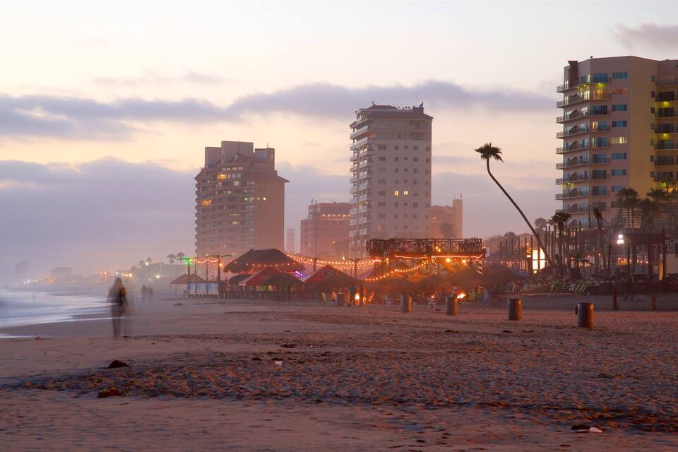 Een strand met gebouwen en palmbomen.