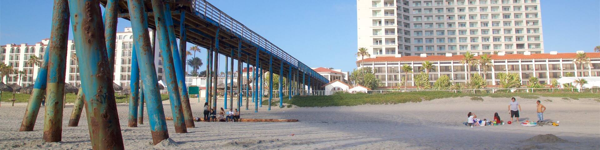 A beach with a pier, palm trees, and a hotel in the background.