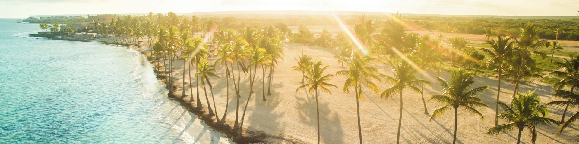 A beach with palm trees and clear blue water.
