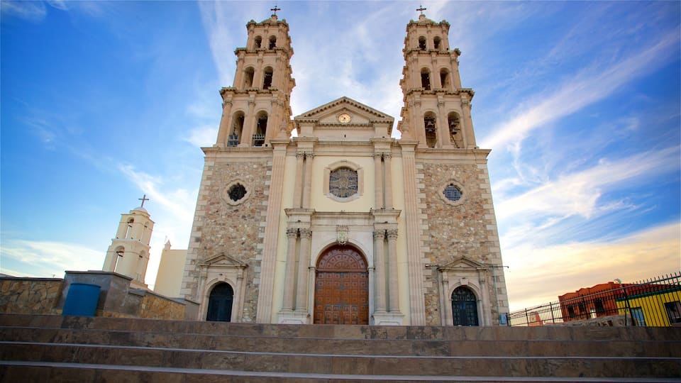 Cathedral of Our Lady of Guadalupe