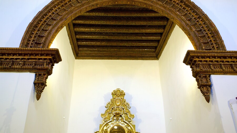 Cathedral of Our Lady of Guadalupe