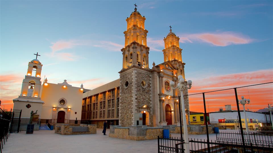 Cathedral of Our Lady of Guadalupe