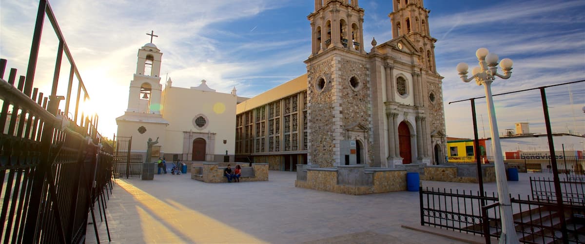 Cathedral of Our Lady of Guadalupe