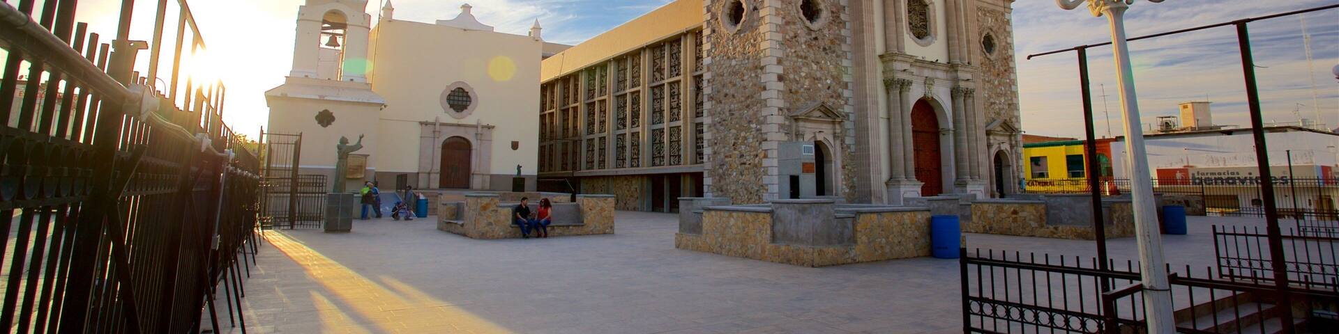 Catedral de Nuestra Señora de Guadalupe