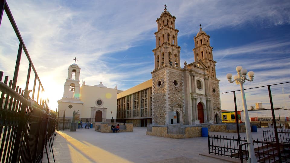 Cathedral of Our Lady of Guadalupe