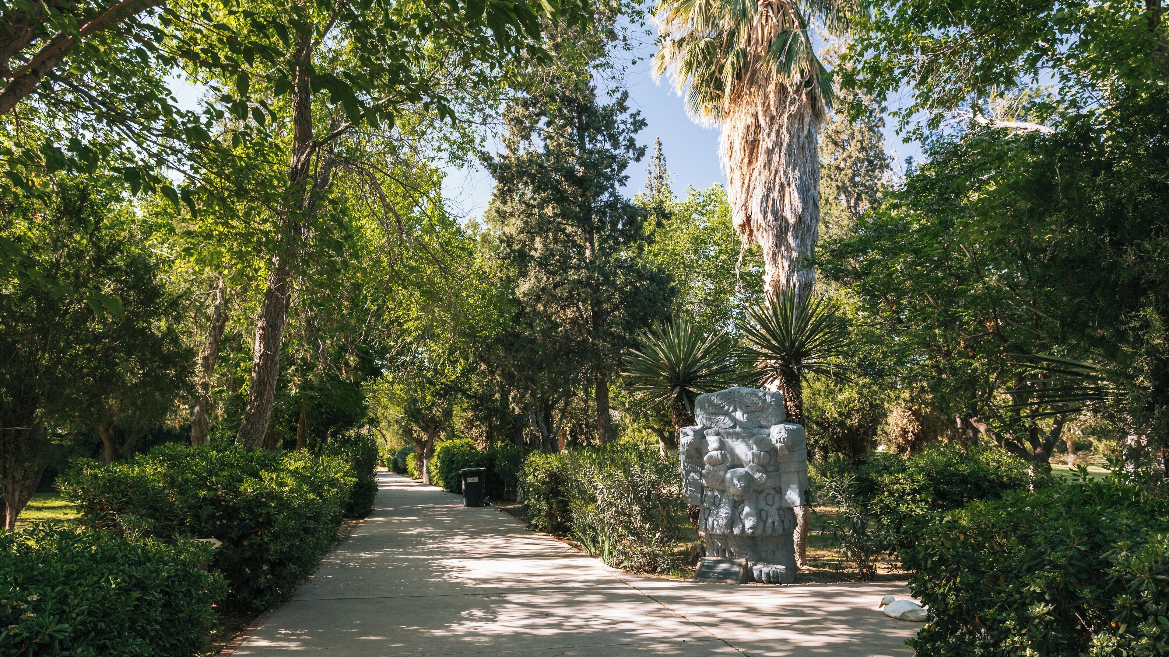 Explore the natural beauty and artistic elements of Chamizal Museum of Archaeology in Ciudad Juarez, Chihuahua, Mexico