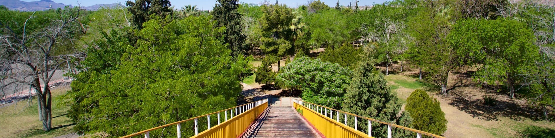 Chamizal Federal Public Park featuring a park