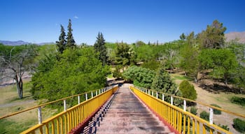 Chamizal Federal Public Park featuring a park