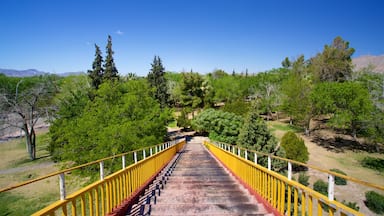 Chamizal Federal Public Park featuring a park