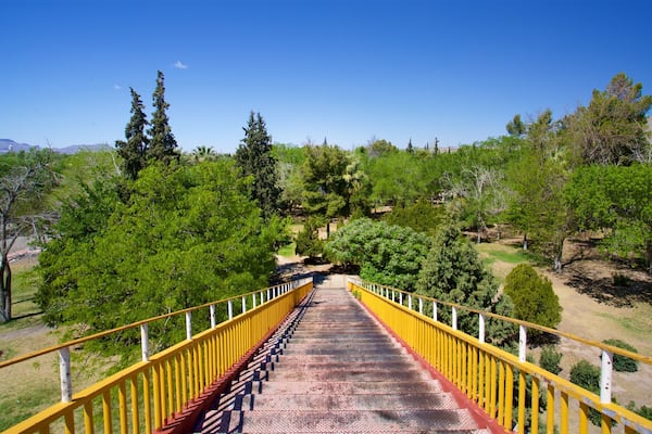 Chamizal Federal Public Park featuring a park