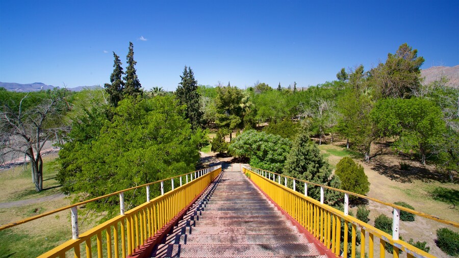 Chamizal Federal Public Park featuring a park