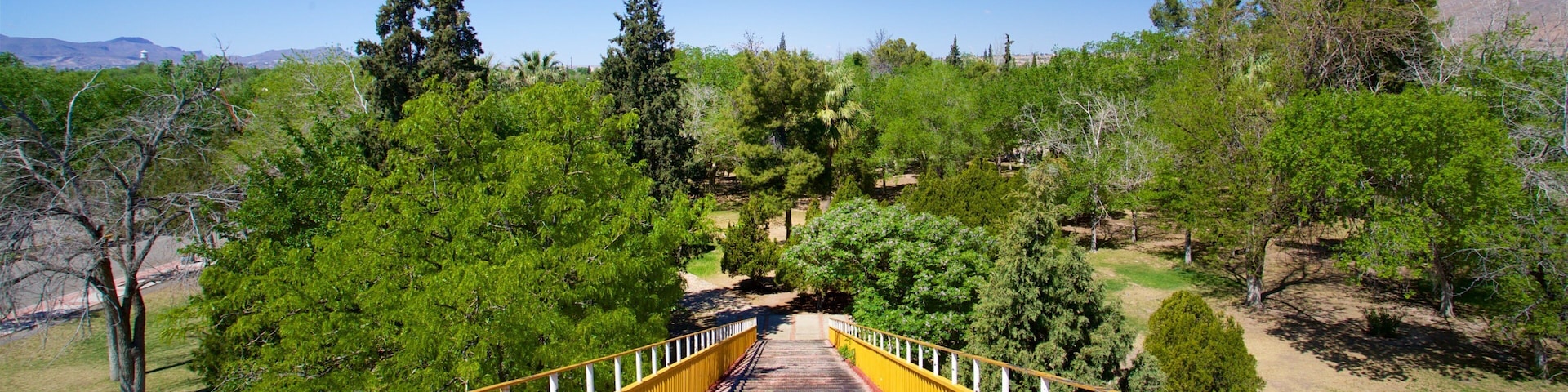 Chamizal Federal Public Park featuring a park