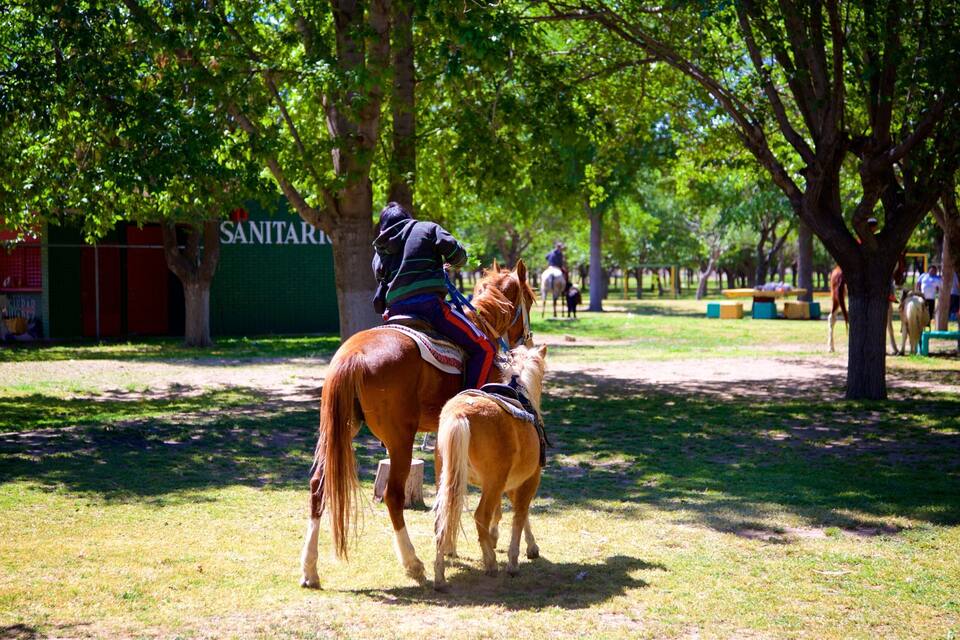 A person riding a horse in a park with trees and a building labeled "SANTAR".