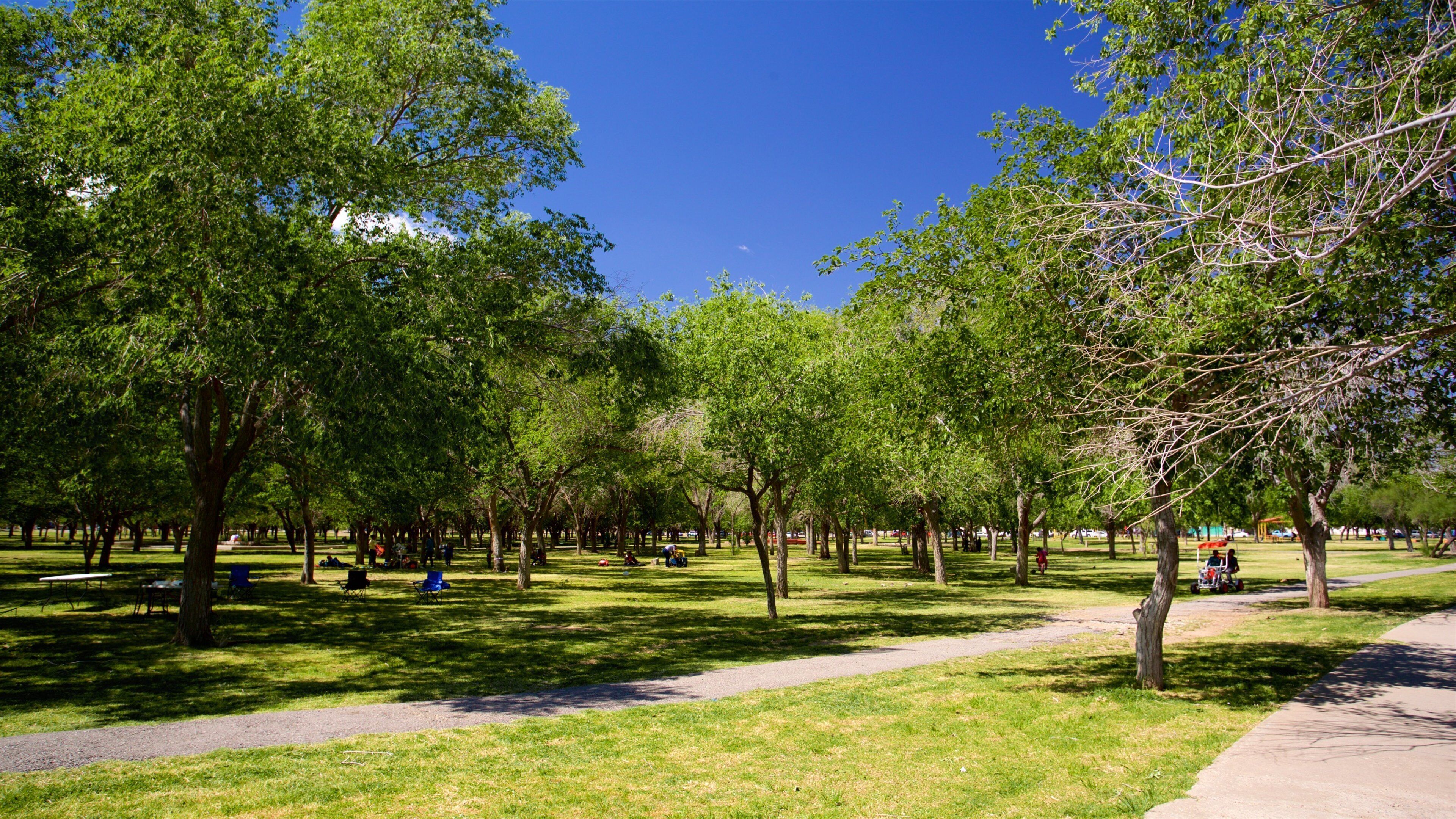 Chamizal Federal Public Park