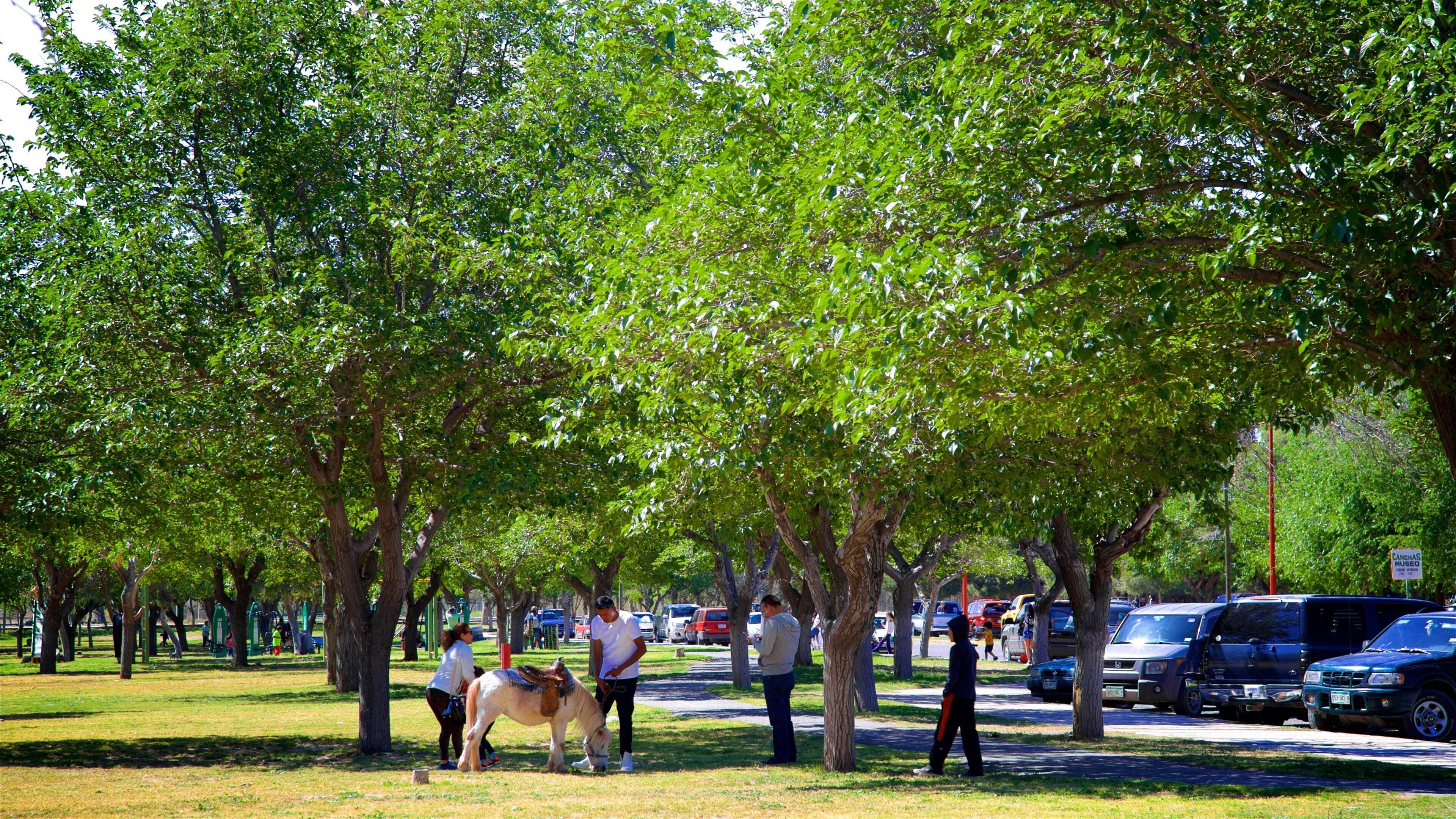 Parque Público Federal El Chamizal
