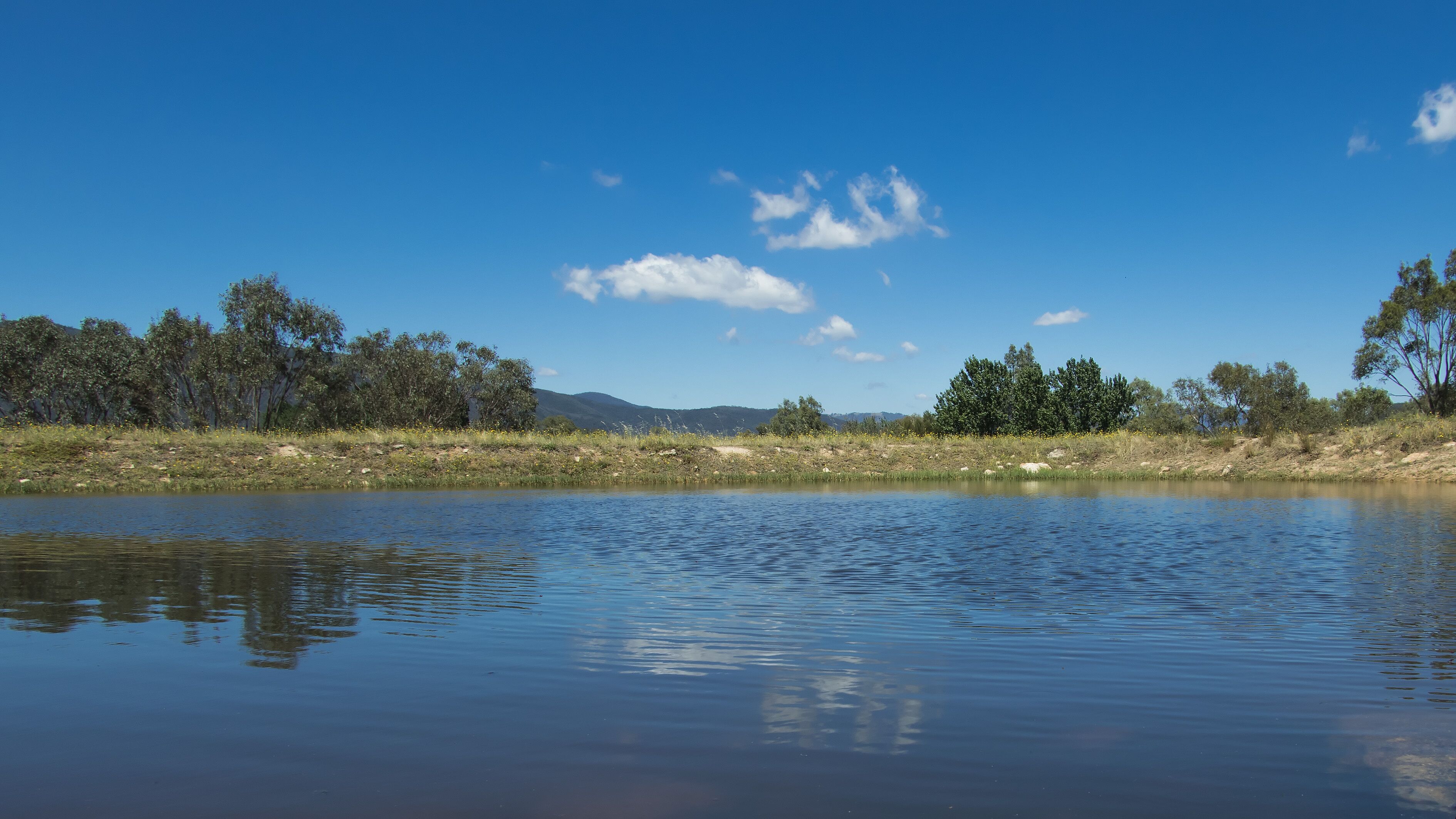 A calm lake with reflections of trees and a clear blue sky.