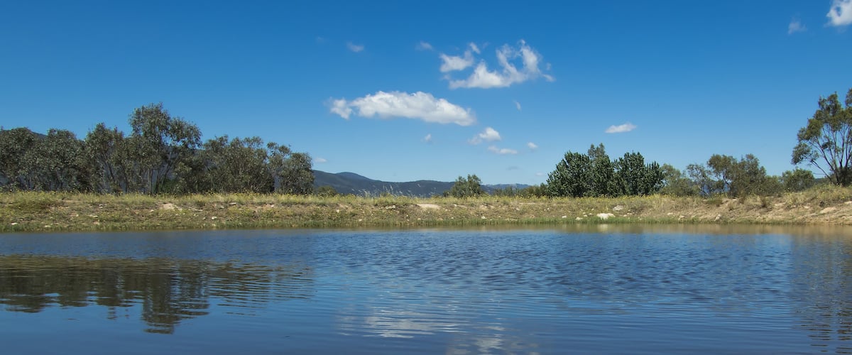 A calm lake with reflections of trees and a clear blue sky.