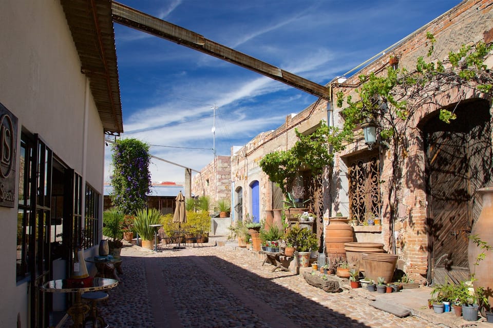 Una calle adoquinada con edificios, plantas en macetas y un gran puente metálico.