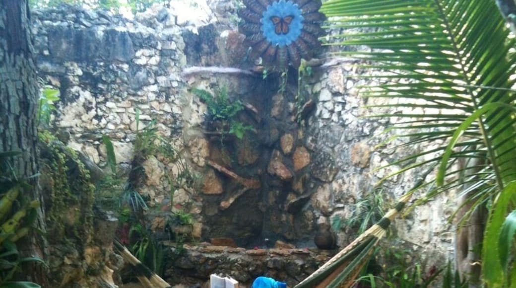 La Selva Mariposa is torn from the textbook of self-manifested paradises. It's a handcrafted B&B, designed and built by its enterprising (and wonderfully friendly) owners. Spa restfullness collides with convenience and comfort, all set to a backdrop of exotic jungle sounds and a myriad of originally-designed water features. The day begins with fresh, aromatic breakfasts and ends however you want. In our case, we were found mostly in hammocks or in our private, cenote-style pool. Yeah. It was nigh to ridiculous. But we loved every minute. Don't miss this gem. • http://laselvamariposa.com • #QuintanaRoo #Mexico #bedandbreakfasts #inns #hotels #unique