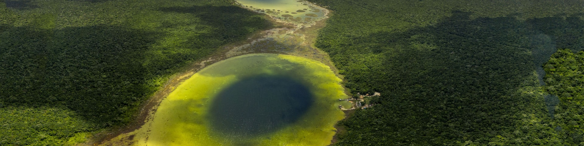 An aerial view of a forested area with a large, circular body of water surrounded by dense green vegetation.