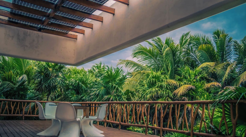 Deep inside the Sian Ka'an Natural Reserve, you can find several absolutely stunning eco-houses, trying to blend themselves with the jungle surrounding them, with as little impact to the environment as possible.
And although I personally don't agree with the fact that they're building INSIDE a natural reserve, there's no denying the fact that they are beautiful as hell.