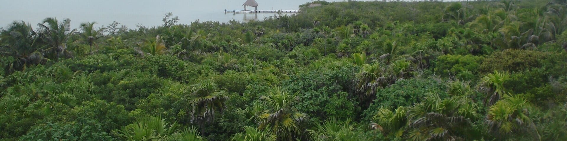 #Green
Back in 2010, I and my partner went to the Sian Ka'an Bisopshere reserve, as well as being luscious green and unspoiled , this place promotes Green Tourism, we didn't have any electricity in the place we stayed, it was part of the experience, we loved it
