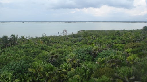 #Green
Back in 2010, I and my partner went to the Sian Ka'an Bisopshere reserve, as well as being luscious green and unspoiled , this place promotes Green Tourism, we didn't have any electricity in the place we stayed, it was part of the experience, we loved it