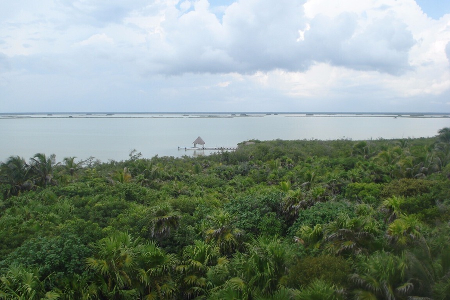 #Green
Back in 2010, I and my partner went to the Sian Ka'an Bisopshere reserve, as well as being luscious green and unspoiled , this place promotes Green Tourism, we didn't have any electricity in the place we stayed, it was part of the experience, we loved it