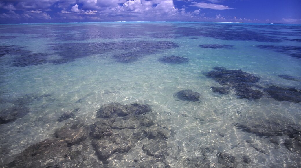 Crystal clear lagoon on the island of Moorea French Polynesia