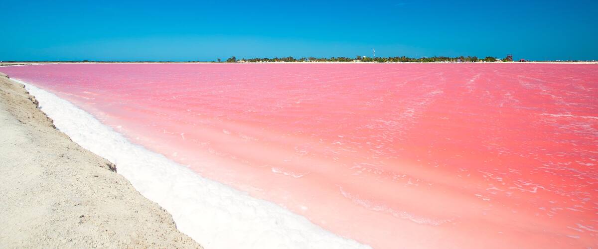 A beach with pink water and a clear blue sky.