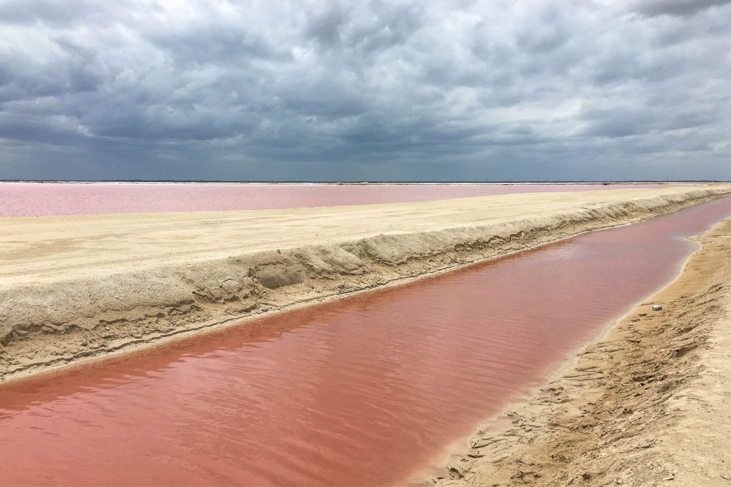 those pink salt lakes are just somehow...unreal...and super beautiful.
