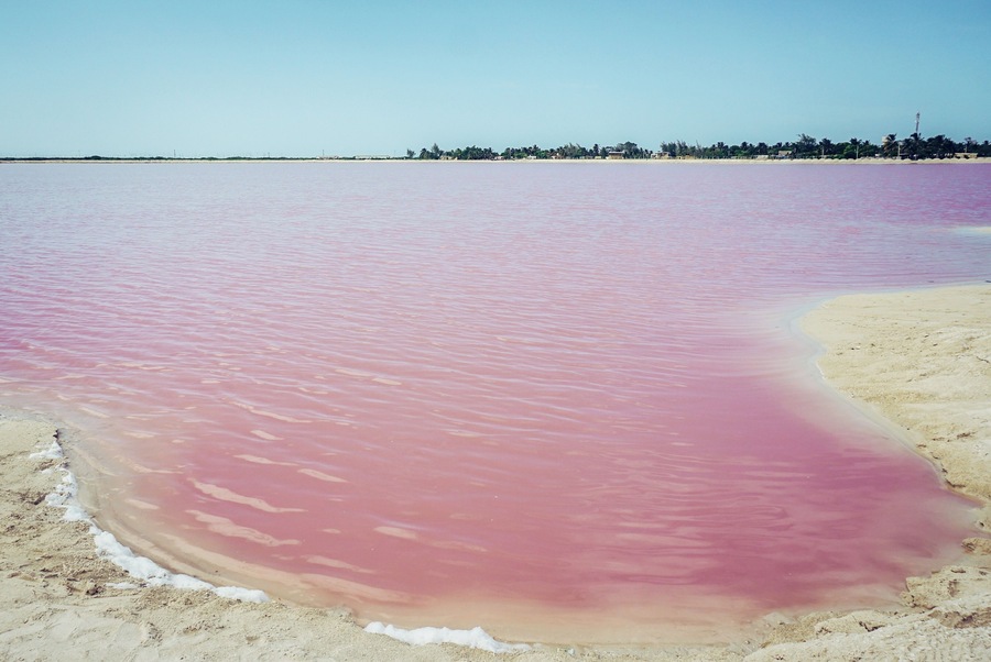Contrary to popular believe, Las Coloradas is not a beach, but a saline. Is the bacteria that are used to produce salt which gives the water its pink color. You can't swim nor drink this water #GreatOutdoors.