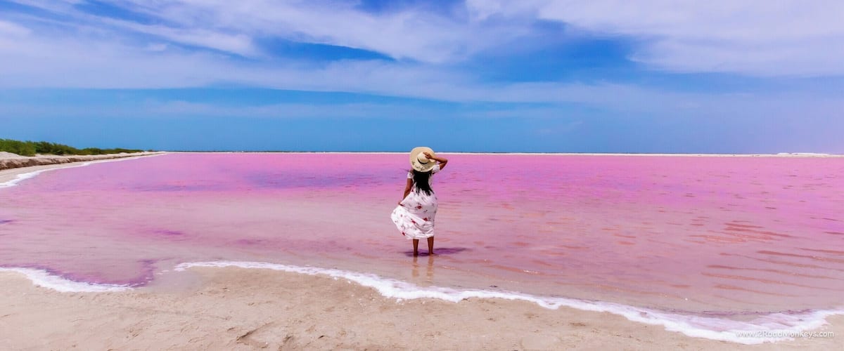 A person standing on a beach with pink water.