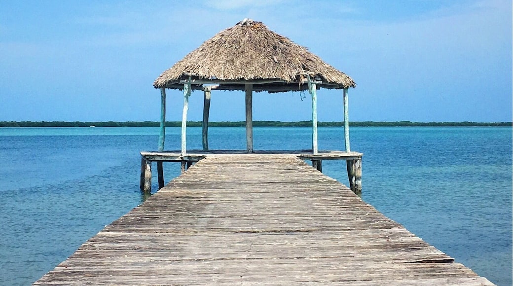 no flamingos for us but a lot of chilling time