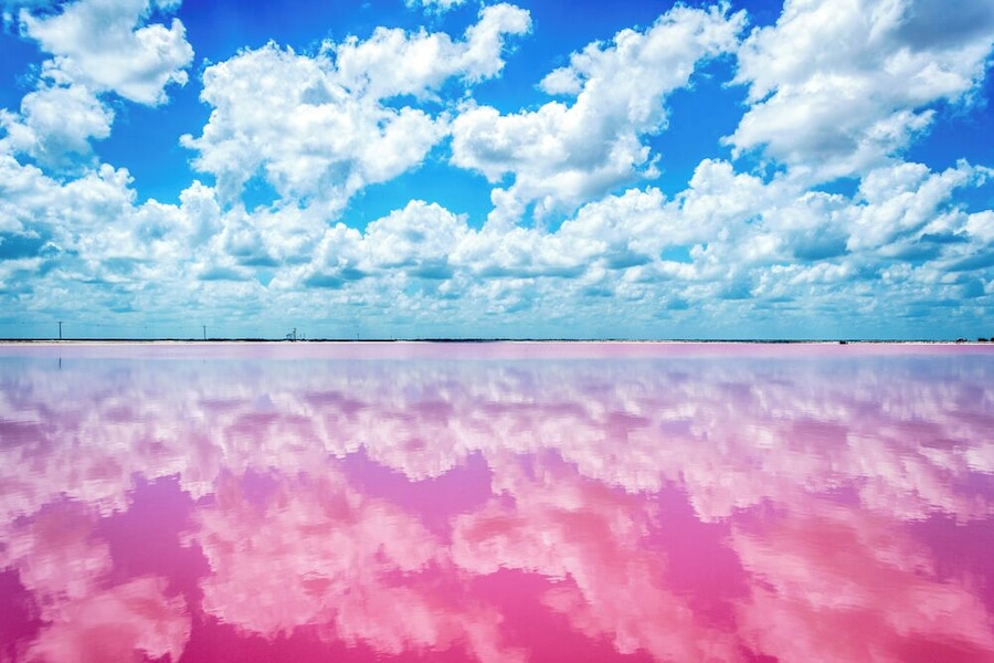 I still can't believe there are places like this in the world.