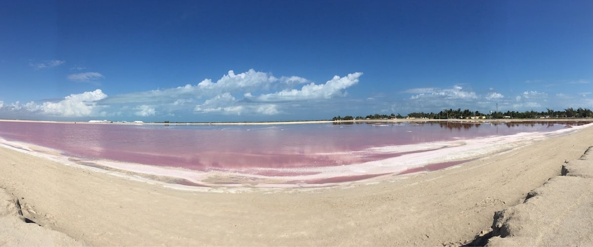 Pink water!