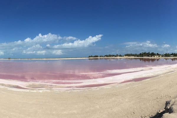 Pink water!
