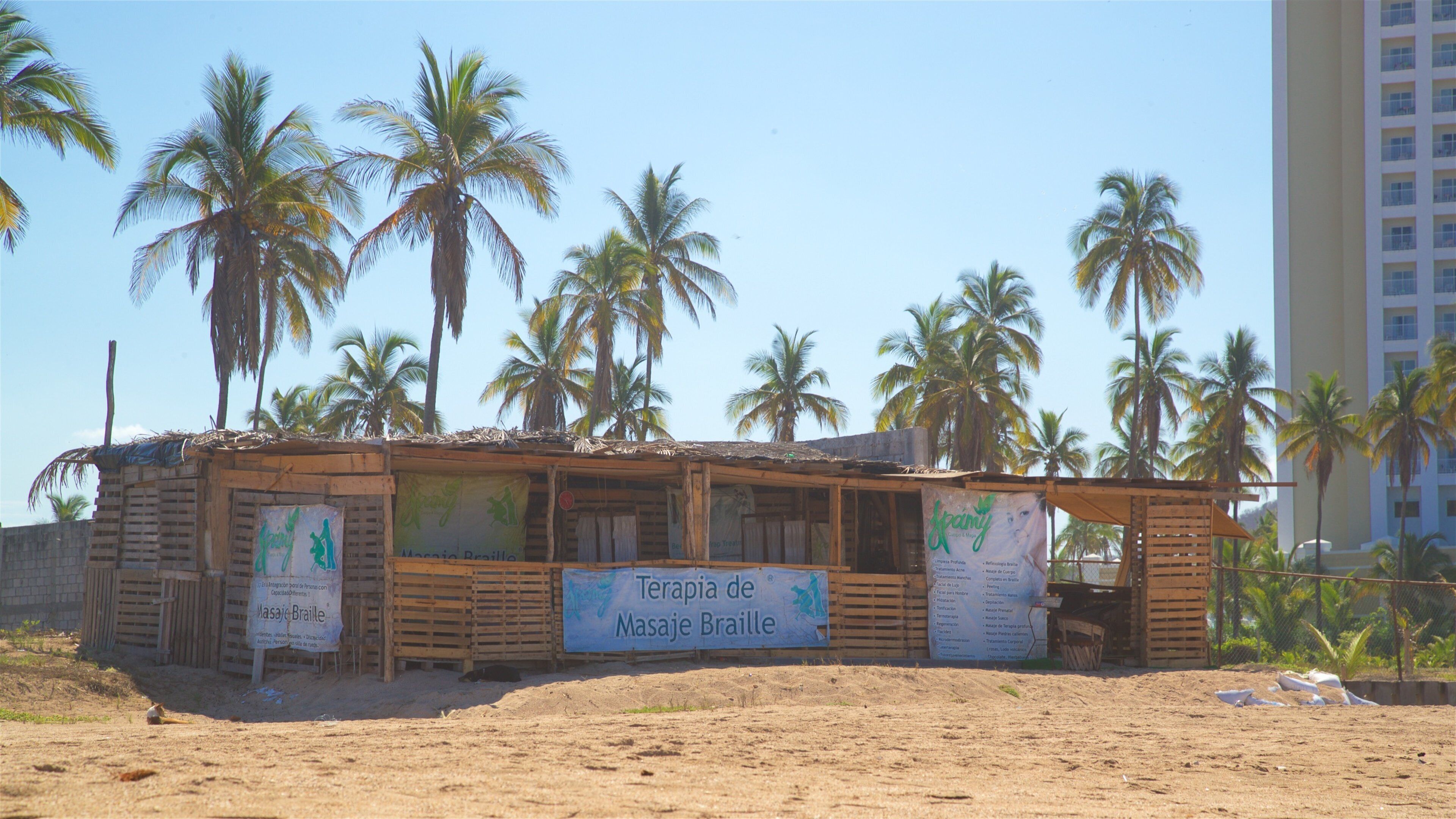 Mazatlan which includes a beach, tropical scenes and signage